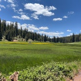 Review photo of Uinta Flat Dispersed by Steffy V., June 18, 2023