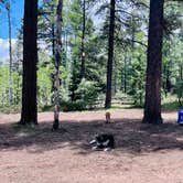 Review photo of Uinta Flat Dispersed by Steffy V., June 18, 2023