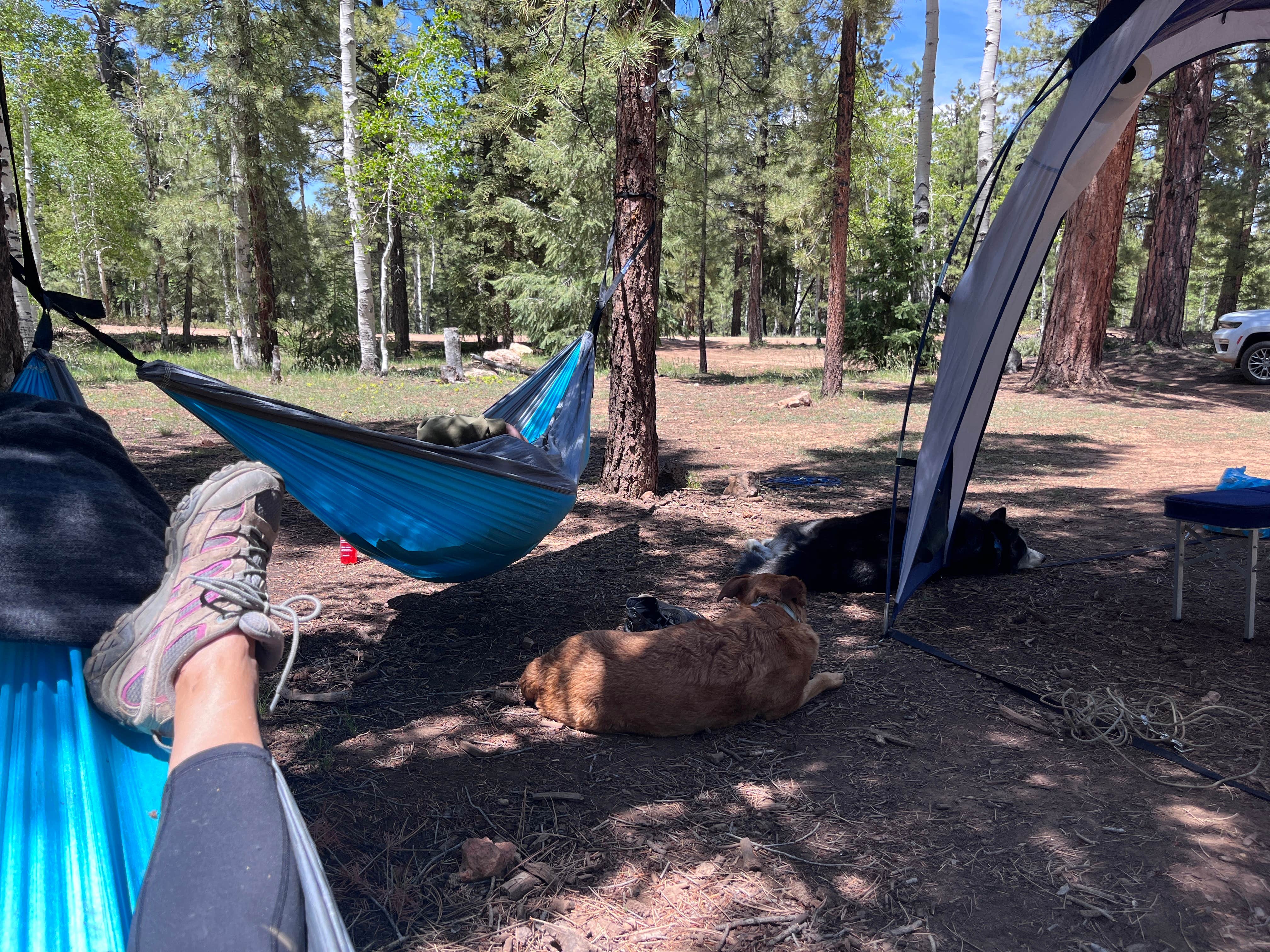 Steffy V.'s photo at Uinta Flat Dispersed near Alton, UT