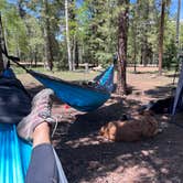 Review photo of Uinta Flat Dispersed by Steffy V., June 18, 2023