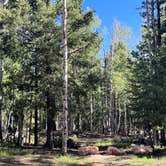 Review photo of Uinta Flat Dispersed by Steffy V., June 18, 2023