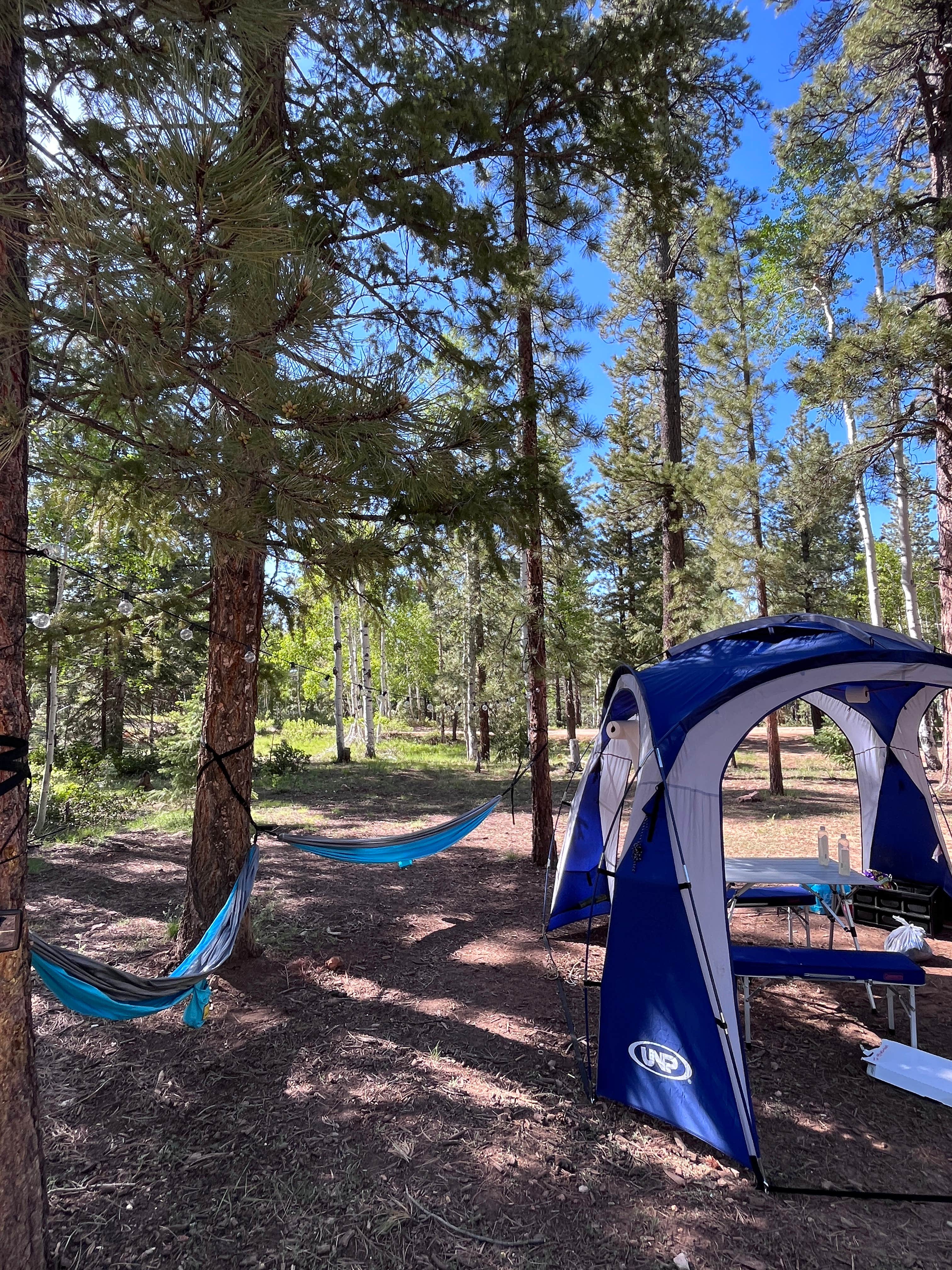 Steffy V.'s photo of a dispersed camping area at Uinta Flat Dispersed near Orderville, UT