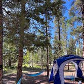 Review photo of Uinta Flat Dispersed by Steffy V., June 18, 2023