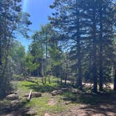 Review photo of Uinta Flat Dispersed by Steffy V., June 18, 2023