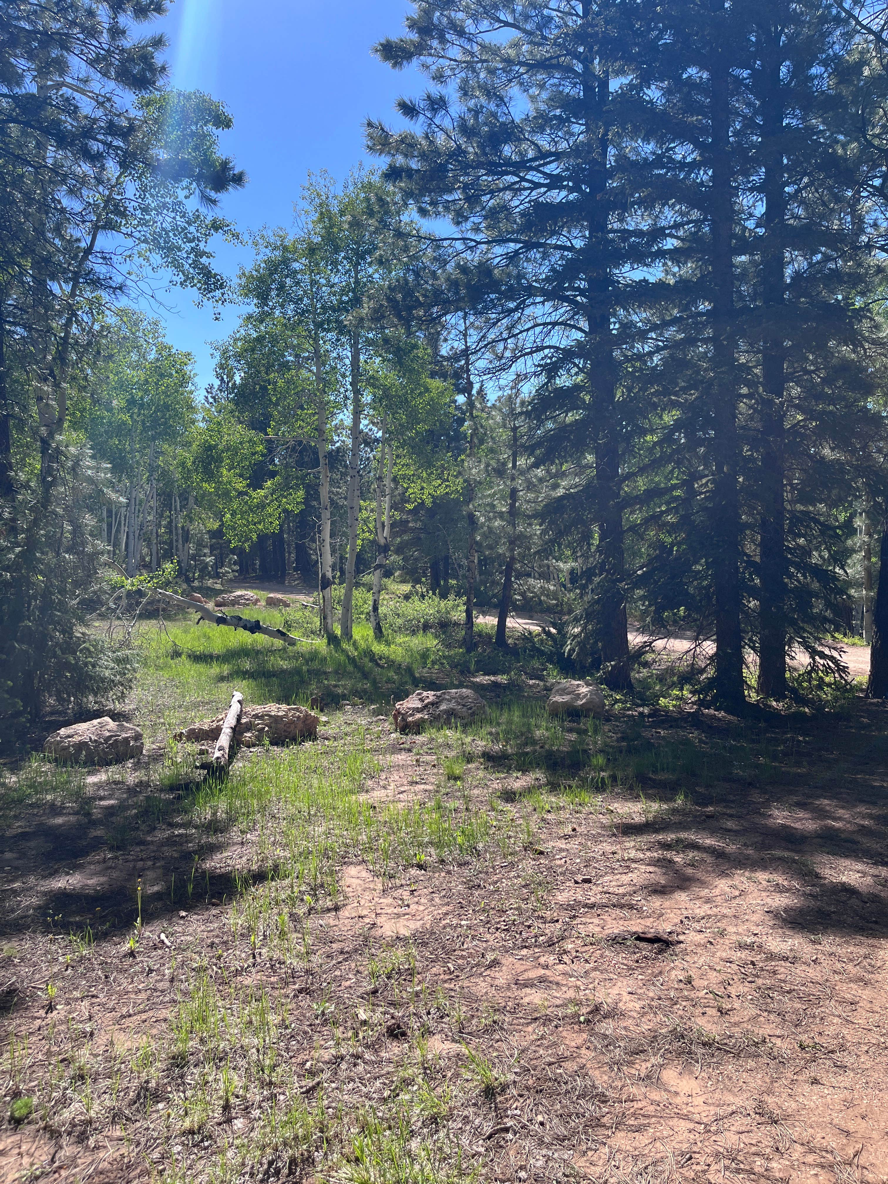 Camper submitted image from Uinta Flat Dispersed - 4