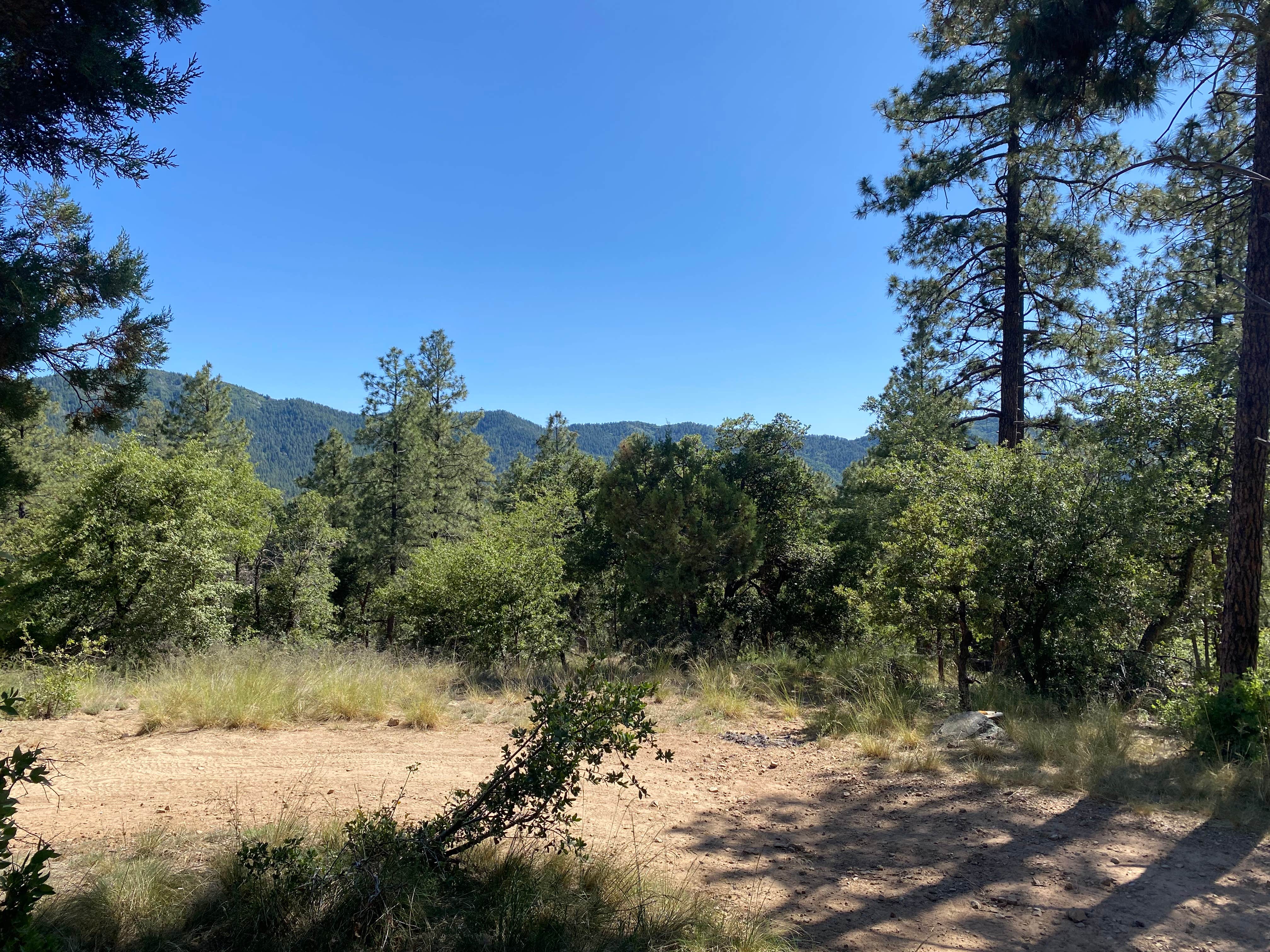 Camper-submitted photo at Senator Hwy Dispersed Camp Site near Mayer, AZ