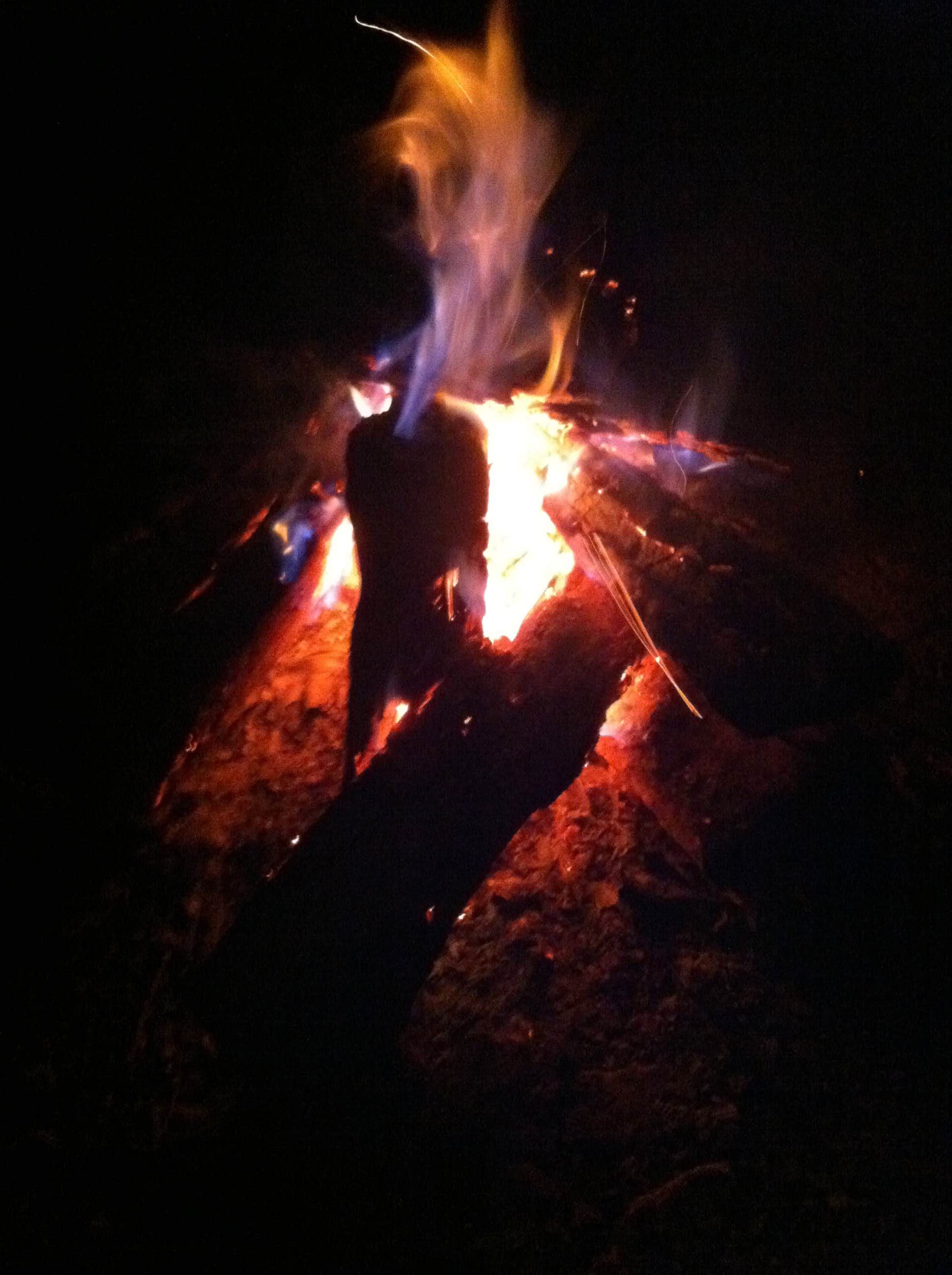 Sam M.'s photo at Westmoreland State Park Campground near Aylett, VA
