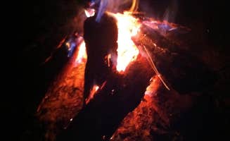 Sam M.'s photo at Westmoreland State Park Campground near Aylett, VA