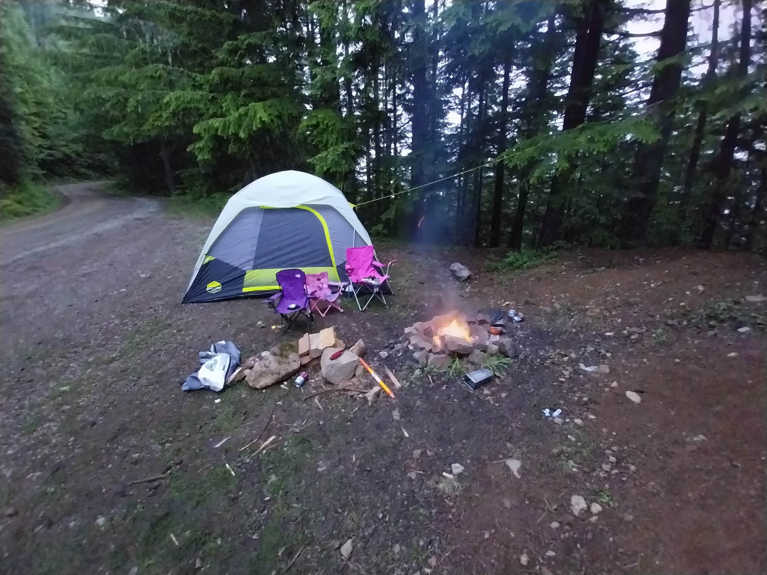 Trevor M.'s photo of a dispersed camping area at NF-2419 Dispersed Site near Bremerton, WA