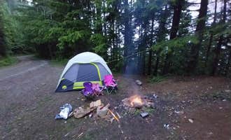 Camping near Large Pull Out (Dispersed) on FR 24: NF-2419 Dispersed Site, Lilliwaup, Washington