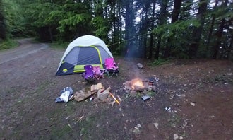 Camping near Hamma Hamma Cabin: NF-2419 Dispersed Site, Lilliwaup, Washington