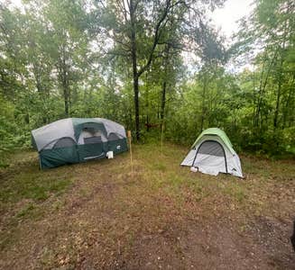 Camper-submitted photo from Old Logging Trail — St. Croix State Park