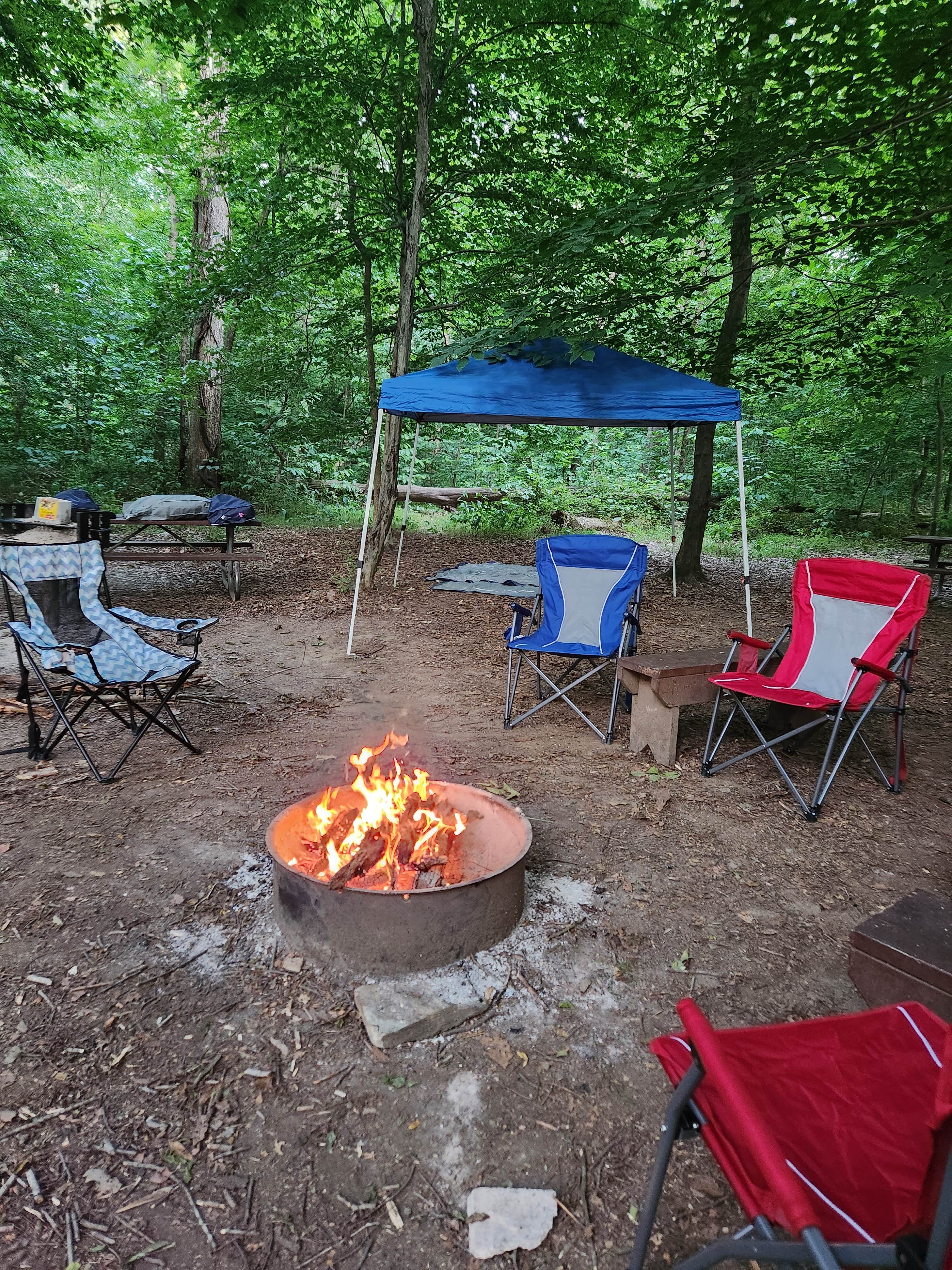 Camper submitted image from Marsden Tract Group Campsite - 3