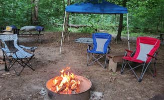 Chrystal P.'s photo at Marsden Tract Group Campsite near Chantilly, VA