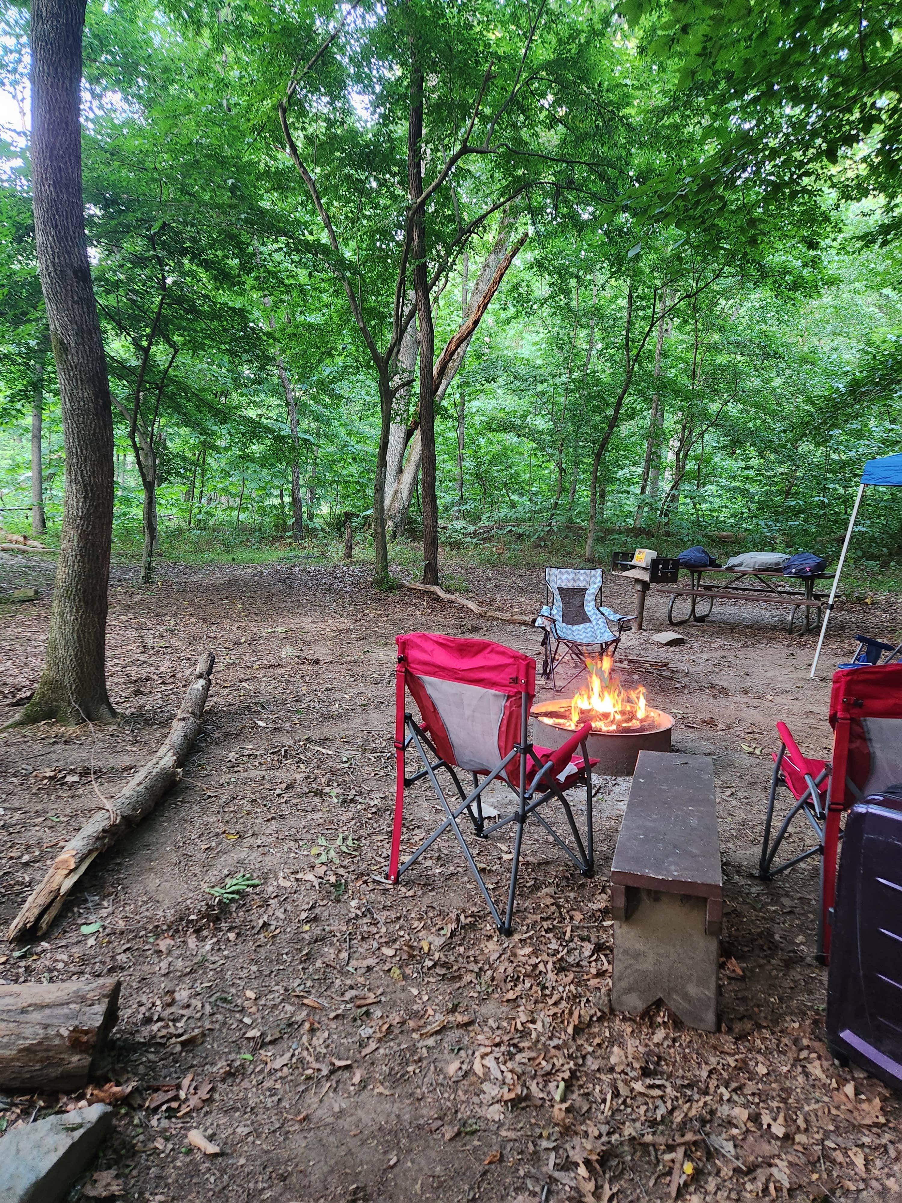 Camper submitted image from Marsden Tract Group Campsite - 5