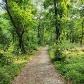 Review photo of Marsden Tract Group Campsite by Chrystal P., June 19, 2023