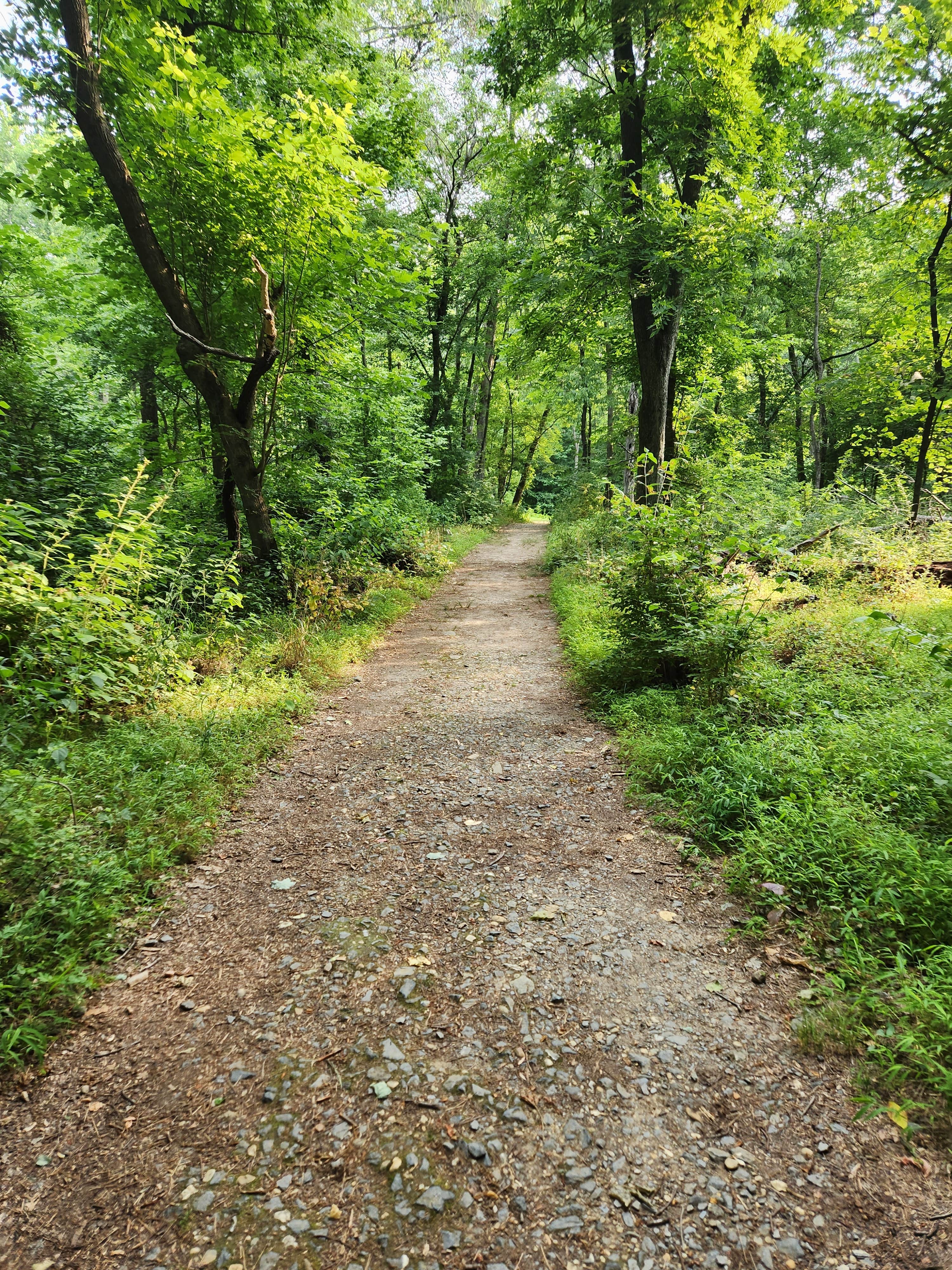 Camper submitted image from Marsden Tract Group Campsite - 4