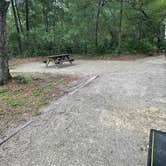 Review photo of Stephen Foster Folk Culture Center State Park Campground by Lauren W., June 19, 2023