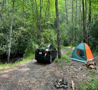 Camper-submitted photo from Washington & Jefferson National Forest Dispersed Sites