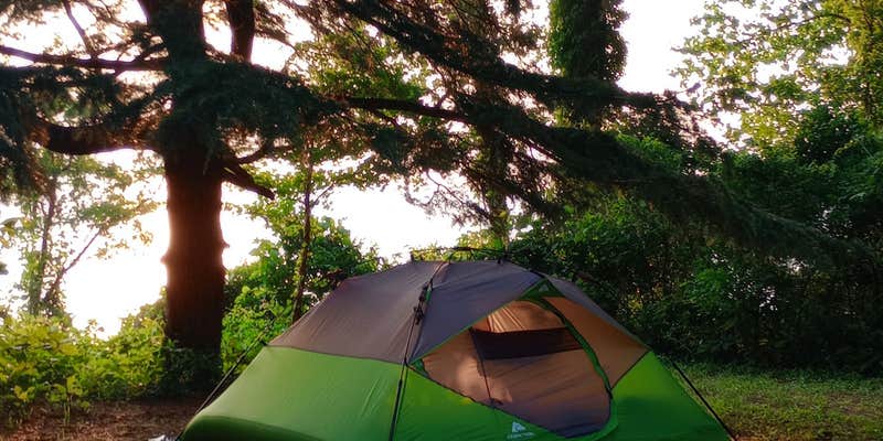 Camper submitted image from Matoaka Beach Cottages