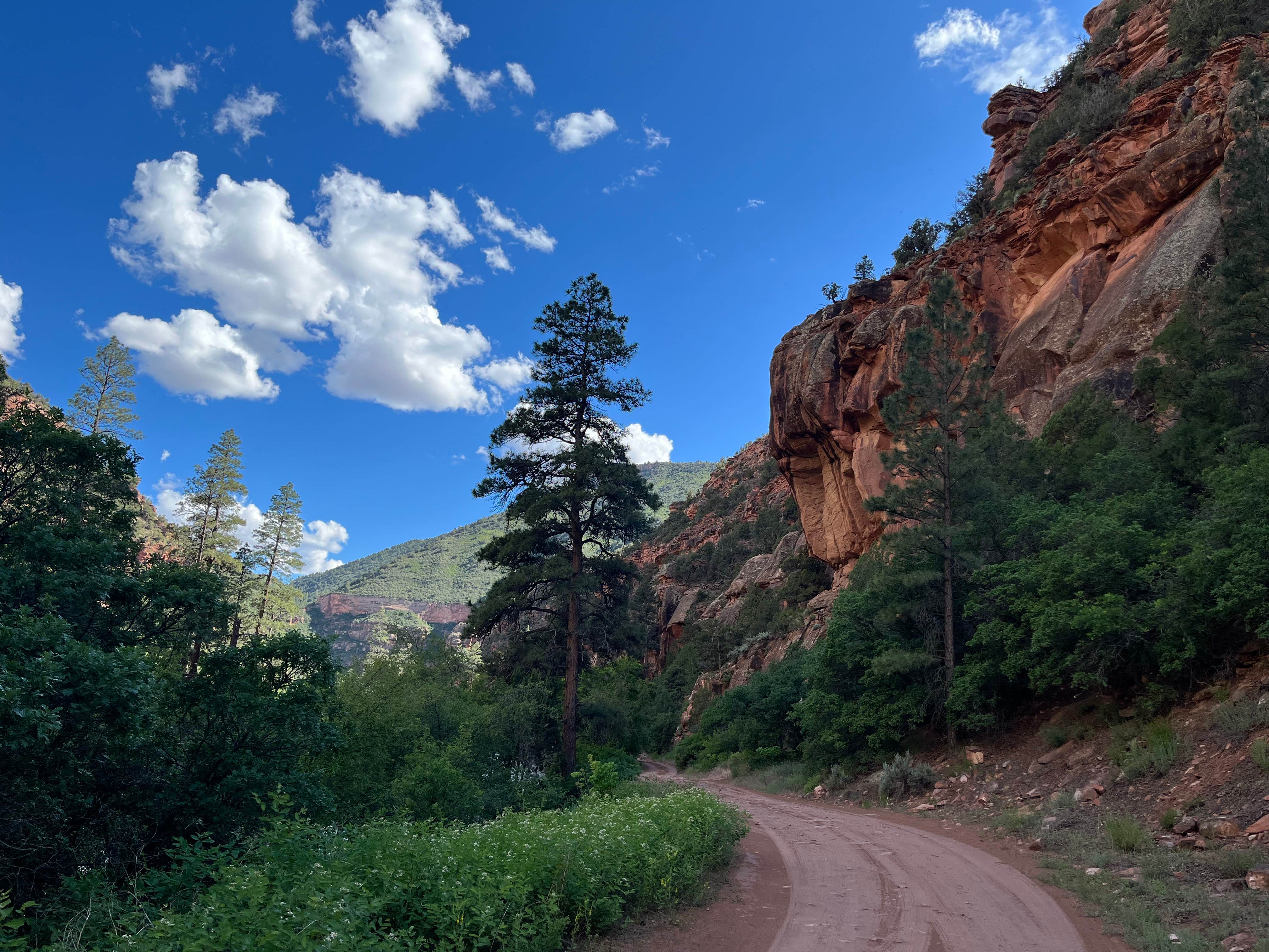 Camper-submitted photo at Box Elder near Nucla, CO