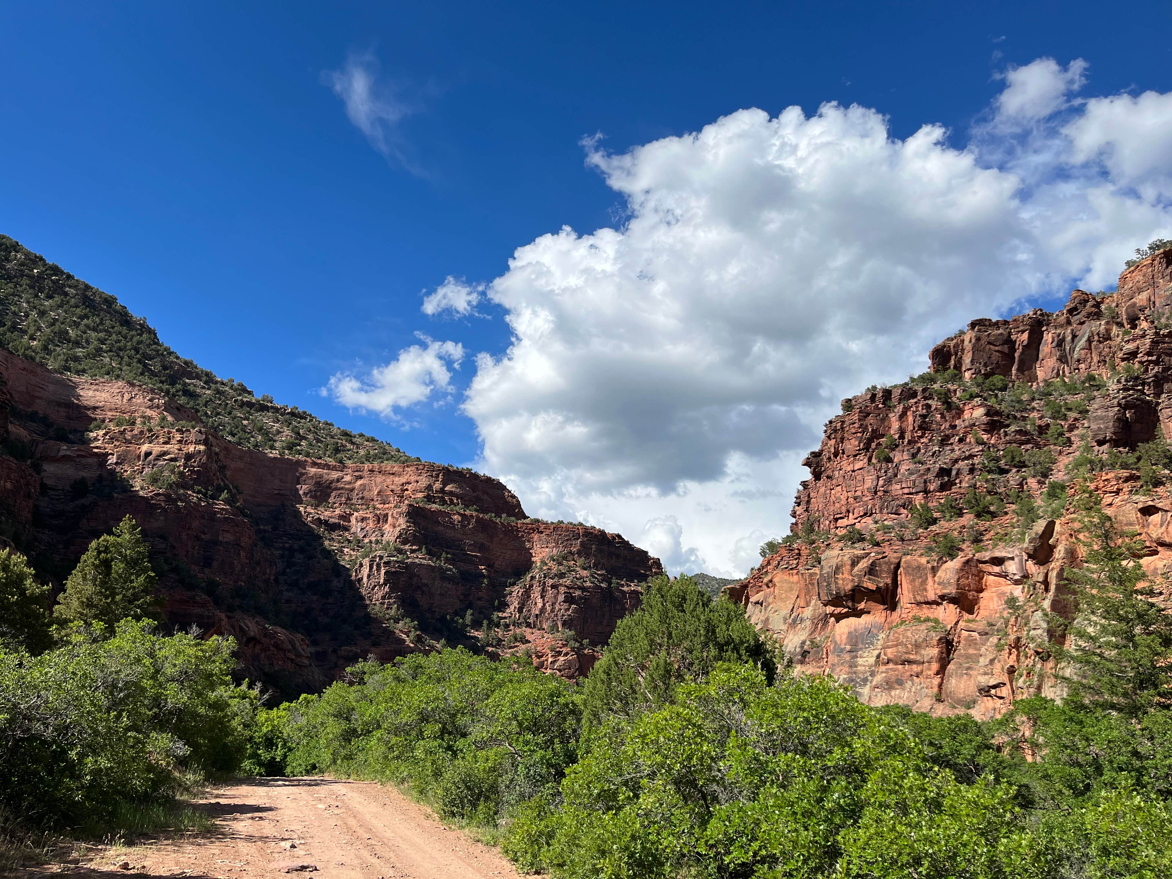 Camper-submitted photo at Box Elder near Nucla, CO
