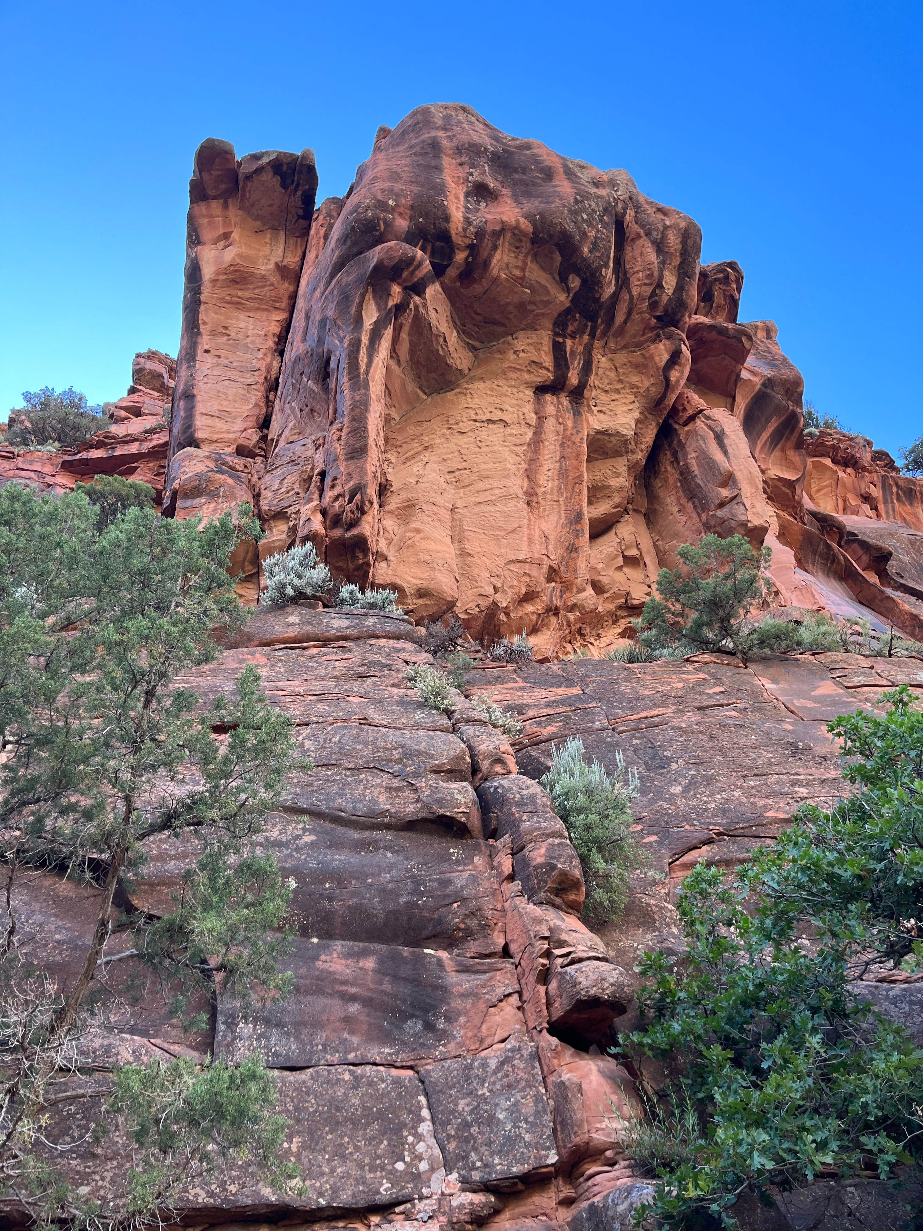 Camper-submitted photo at Box Elder near Nucla, CO