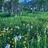 Review photo of Humboldt National Forest Angel Creek Campground by Sara P., June 19, 2023