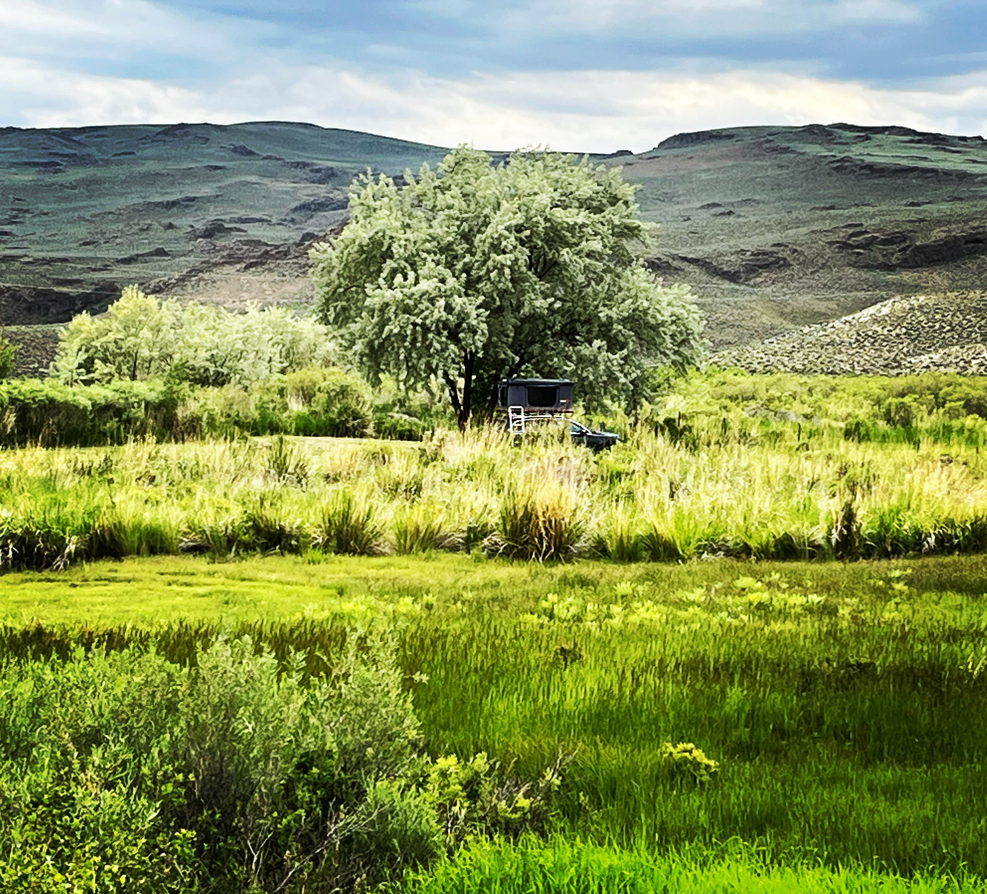 Camper-submitted photo at Royal Peacock opal mine near Denio, NV