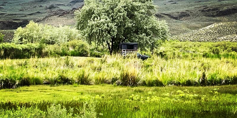 Camper submitted image from Royal Peacock opal mine