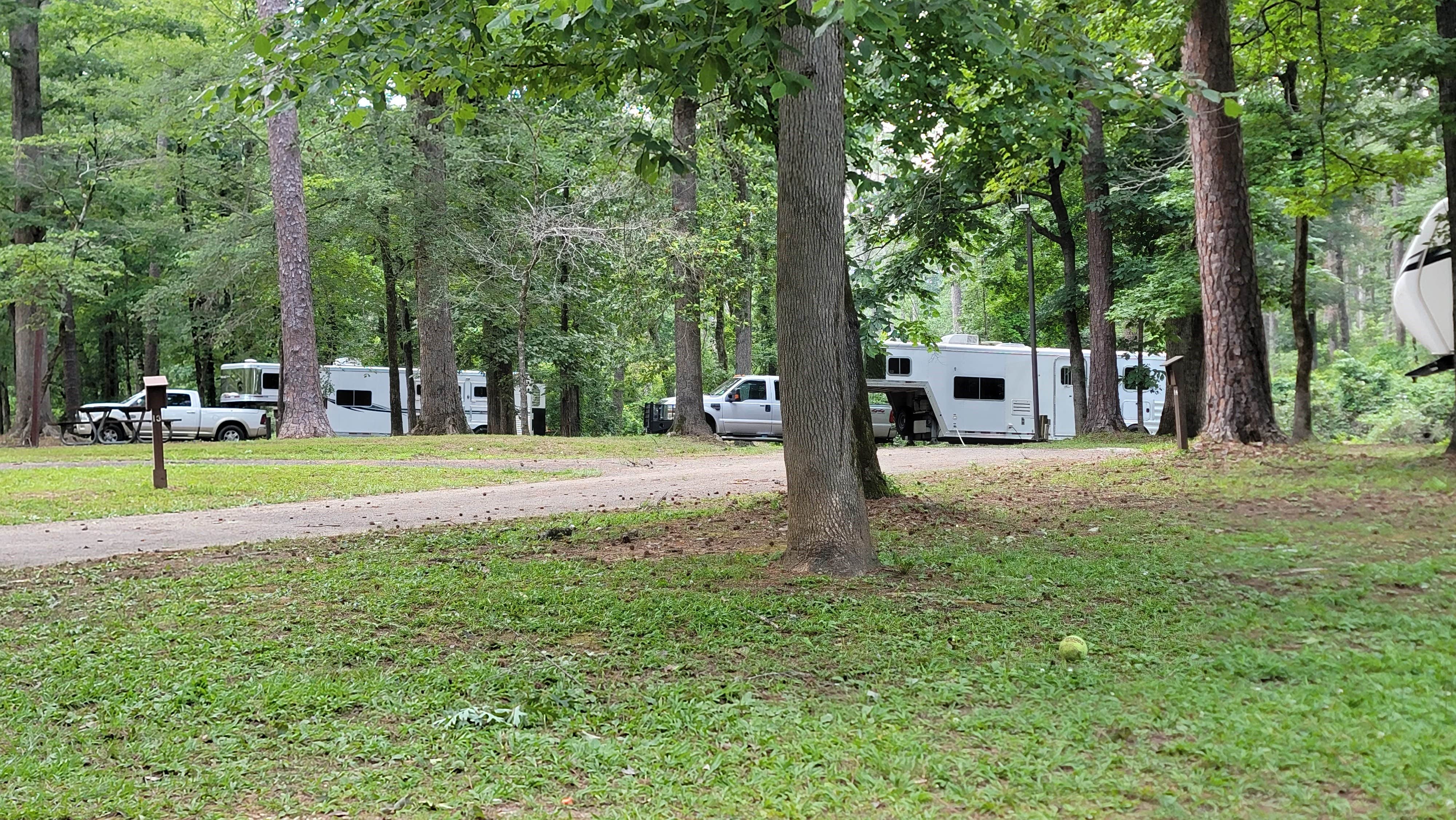 Camper-submitted photo at Chemin-A-Haut State Park near Pioneer, LA