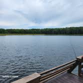 Review photo of Pinewoods Lake Rec Area — Mark Twain National Forest by Ronnie S., June 19, 2023