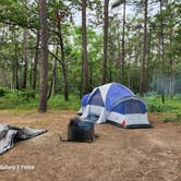 Review photo of Pinewoods Lake Rec Area — Mark Twain National Forest by Ronnie S., June 19, 2023