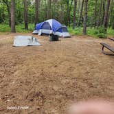 Review photo of Pinewoods Lake Rec Area — Mark Twain National Forest by Ronnie S., June 19, 2023