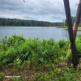 Review photo of Pinewoods Lake Rec Area — Mark Twain National Forest by Ronnie S., June 19, 2023