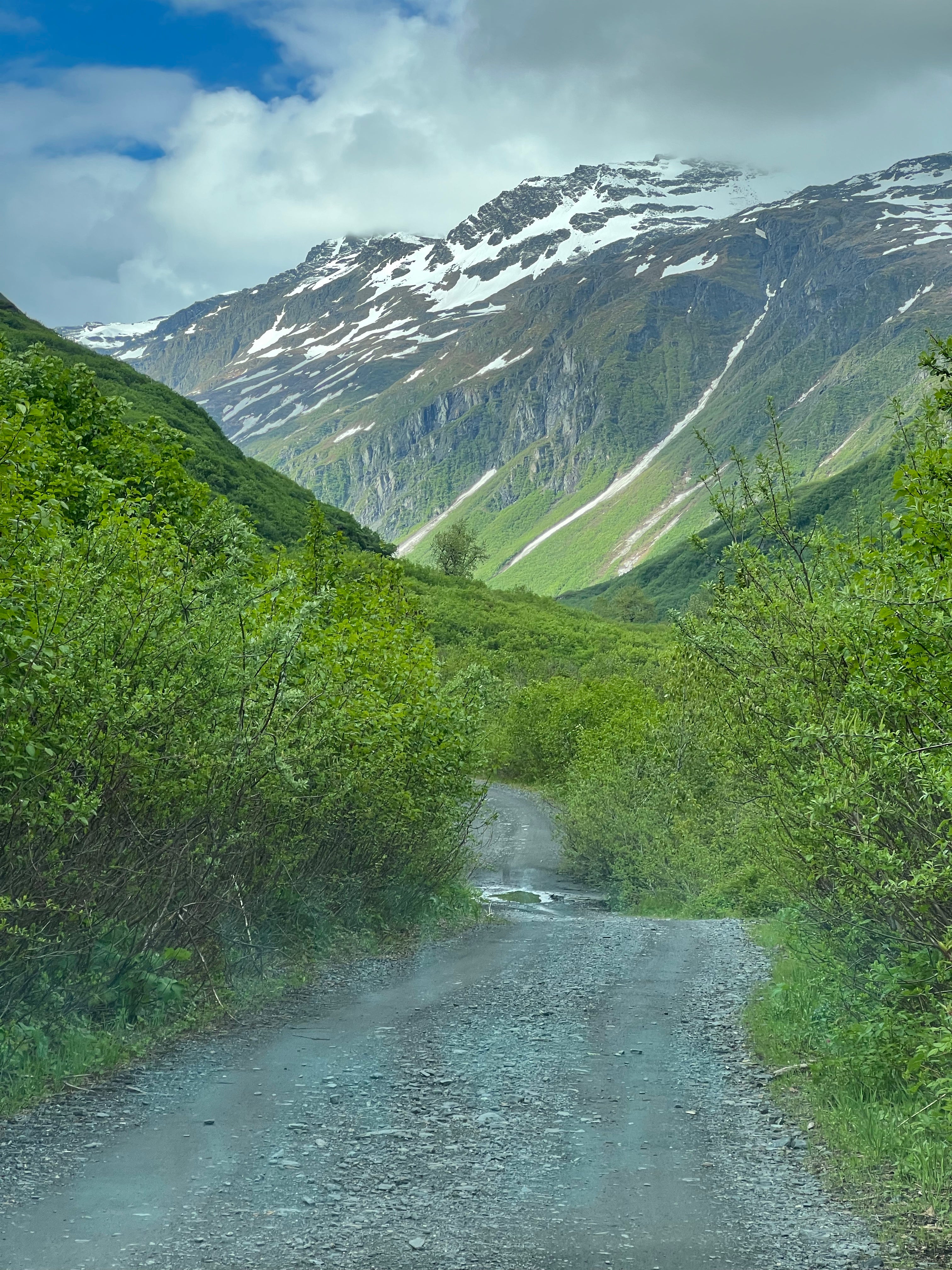 Camper submitted image from Mineral Creek, Valdez, AK - 2