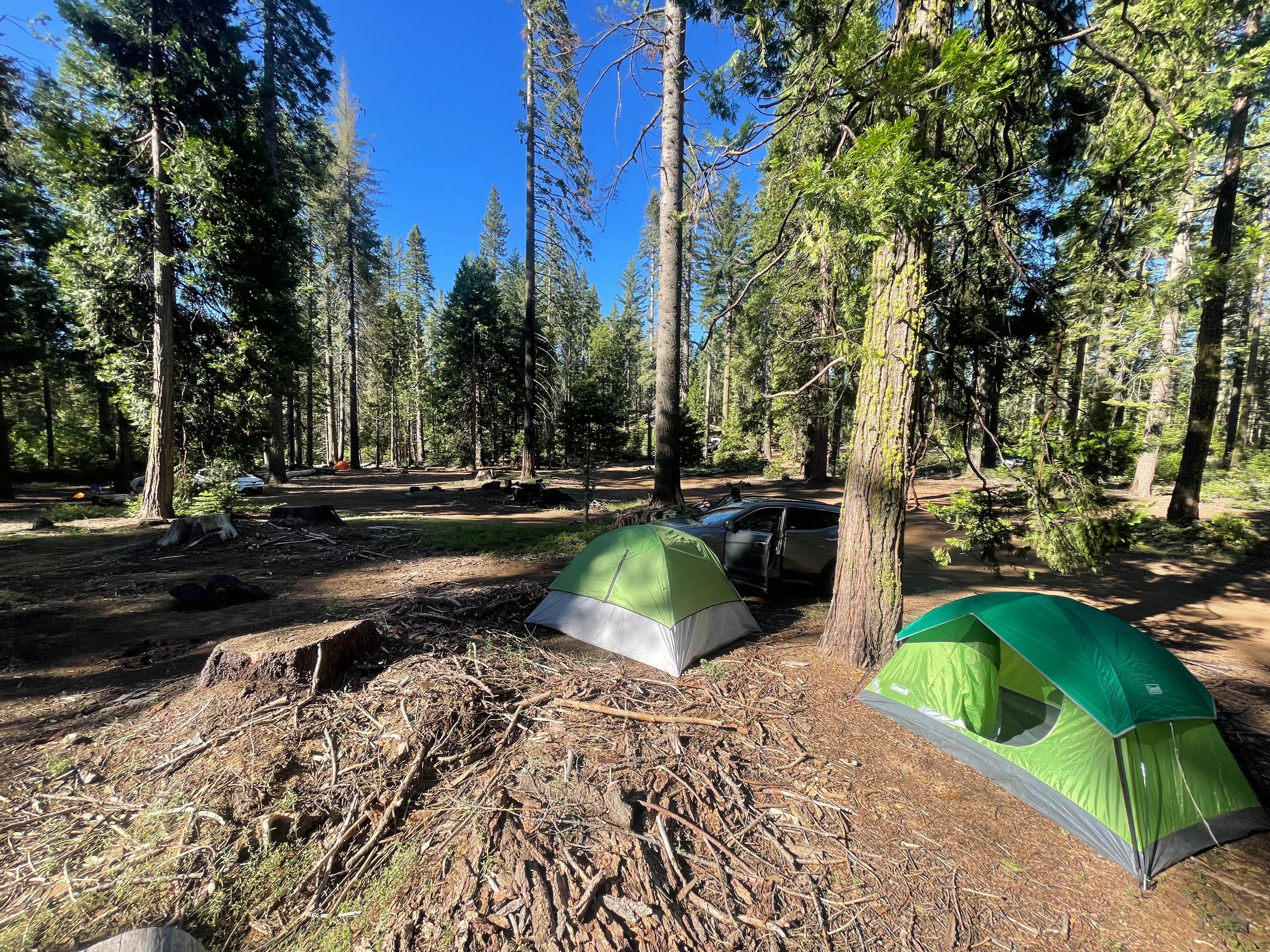 Camper submitted image from Goat Meadow - Dispersed Camp Site - 1