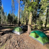 Review photo of Goat Meadow - Dispersed Camp Site by Logan R., June 19, 2023