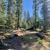 Review photo of Goat Meadow - Dispersed Camp Site by Logan R., June 19, 2023