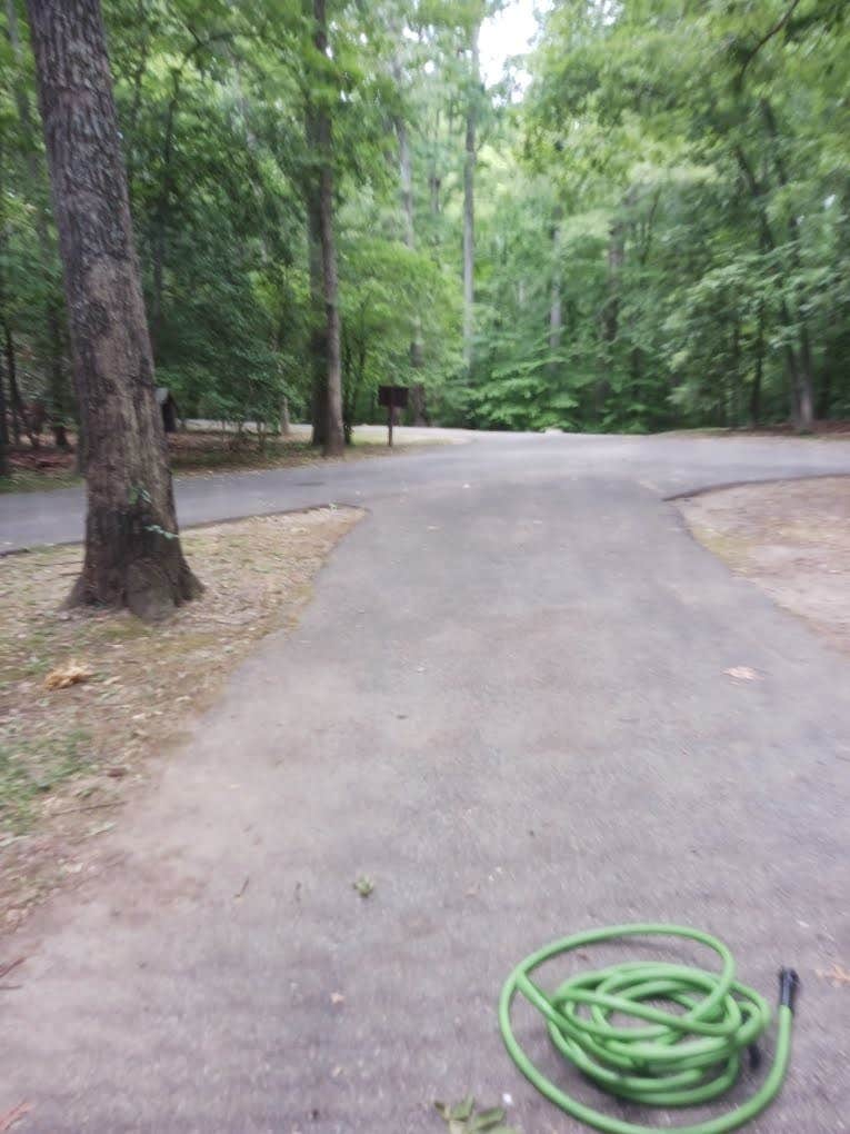 Camper-submitted photo at Louise F. Cosca Regional Park near Fort Dupont Park