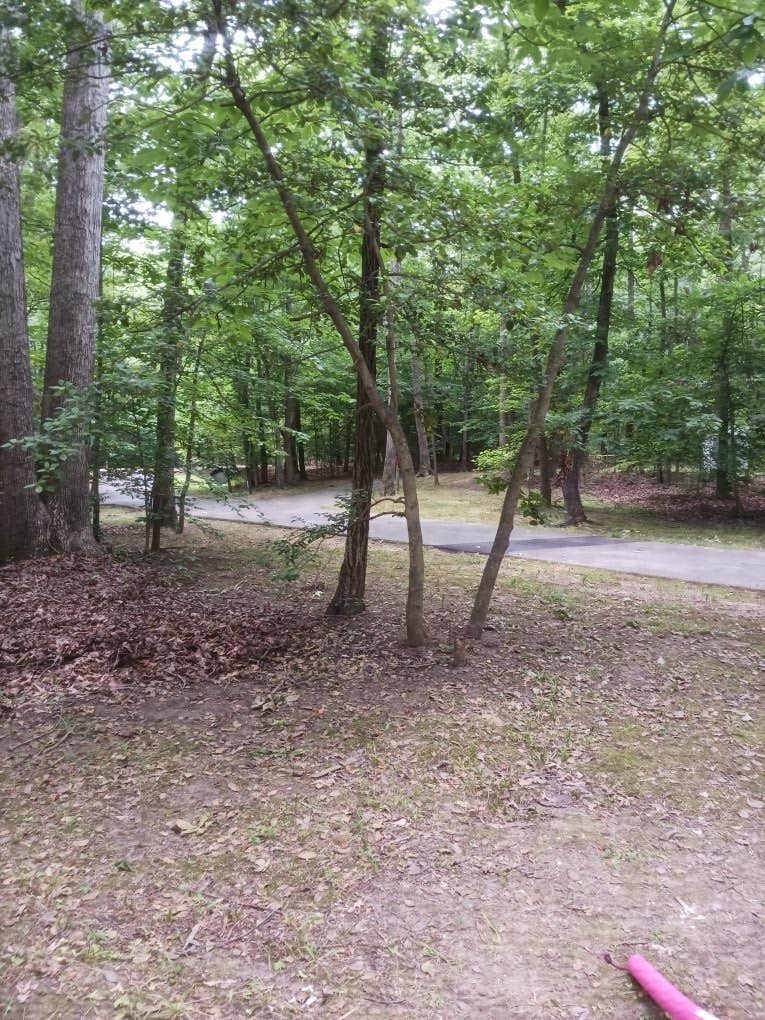 Camper-submitted photo at Louise F. Cosca Regional Park near Fort Dupont Park