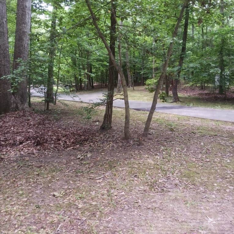 Louise F. Cosca Regional Park Camping The Dyrt