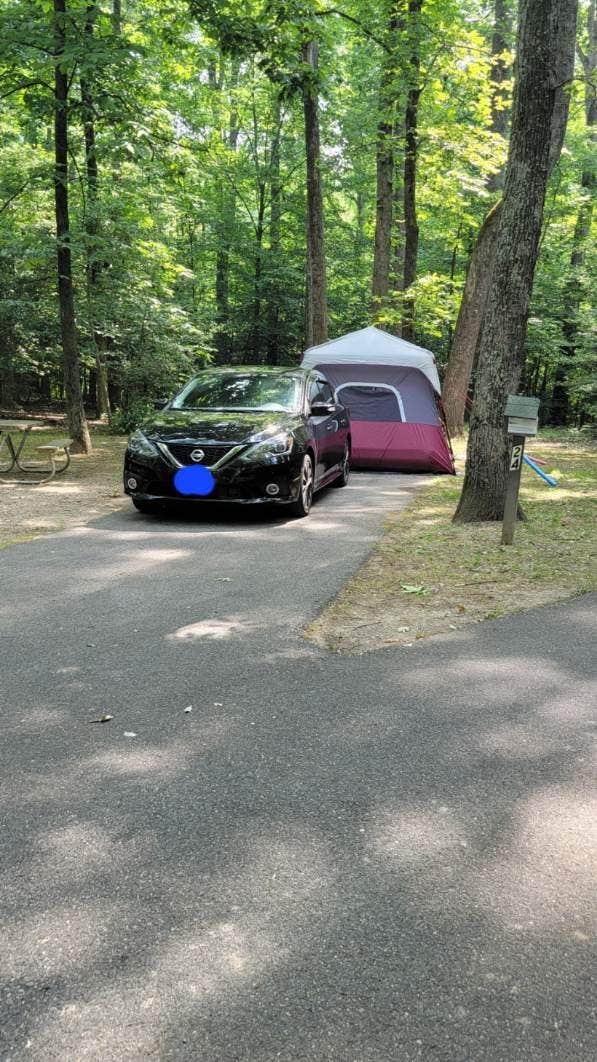 Tye S.'s photo at Louise F. Cosca Regional Park near Huntingtown, MD