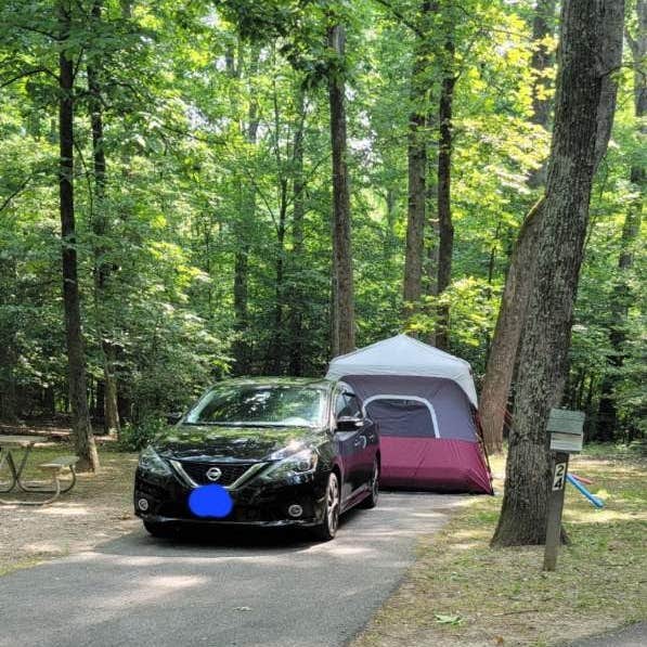Louise F. Cosca Regional Park Camping The Dyrt