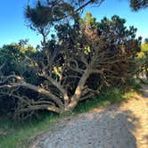 Review photo of Nehalem Bay State Park Campground by Melissa S., June 19, 2023