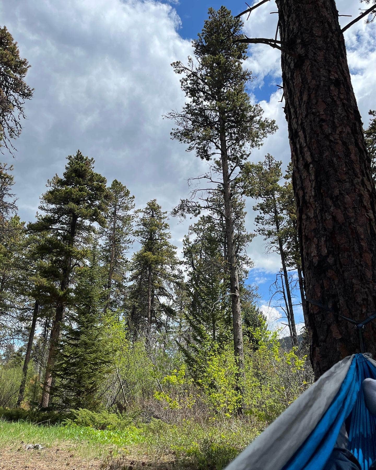 Dallin W.'s photo at East Rosebud Campground near Nye, MT