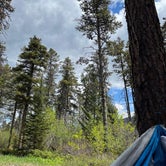 Review photo of East Rosebud Campground by Dallin W., June 19, 2023