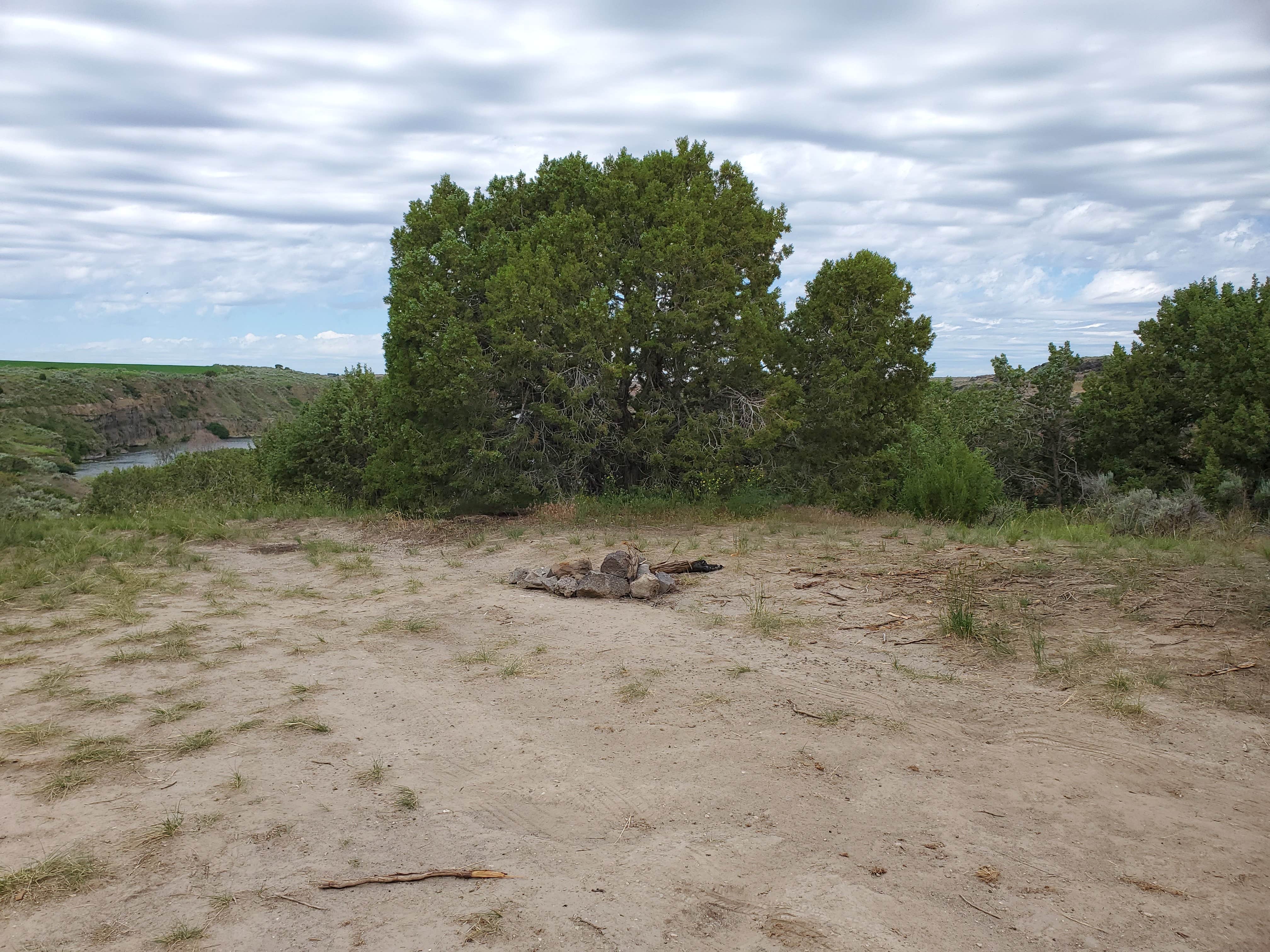 Camper submitted image from Snake River Vista Recreation Site - 2
