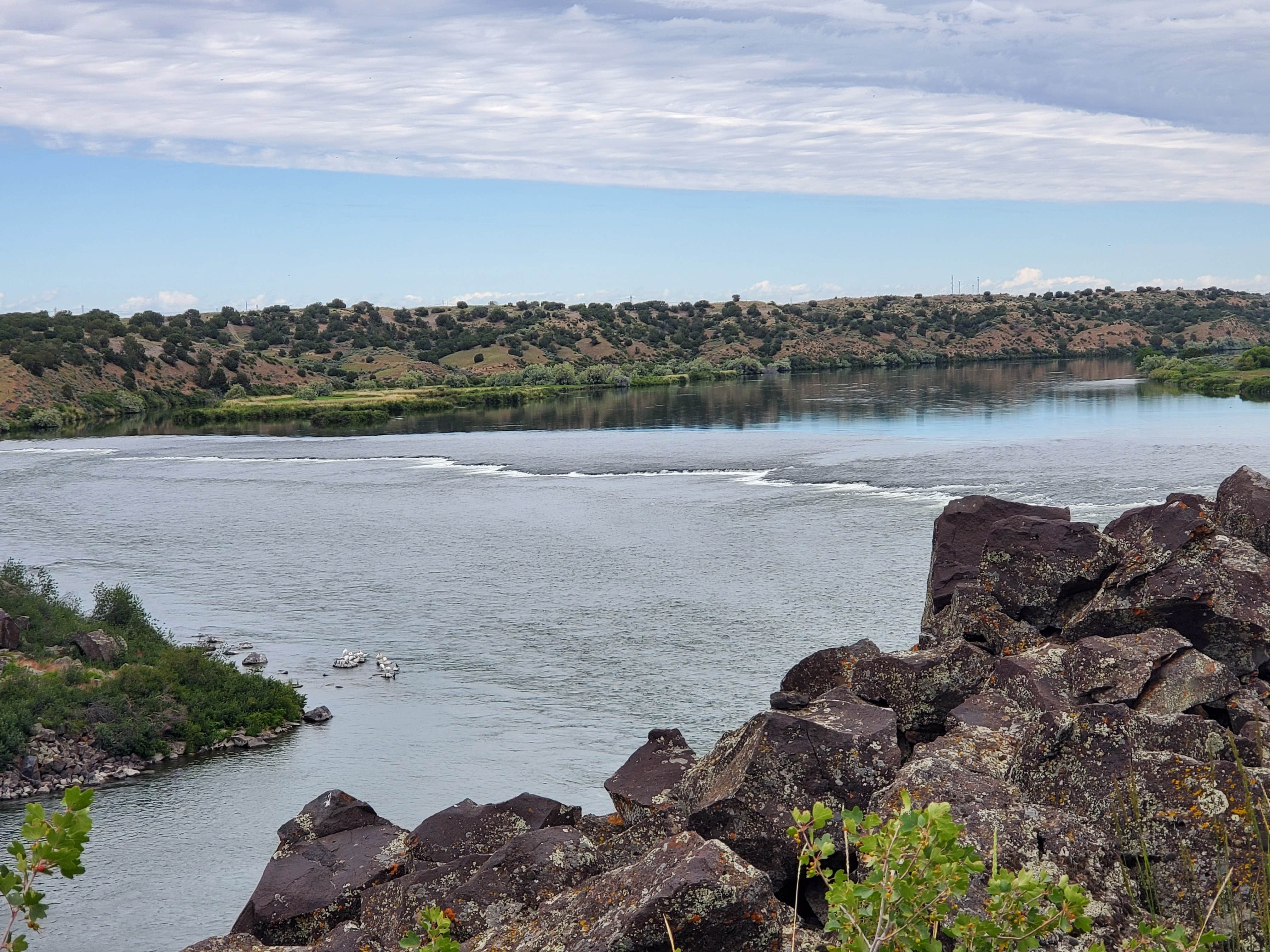 Camper submitted image from Snake River Vista Recreation Site - 5