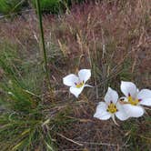 Review photo of Snake River Vista Recreation Site by Robin B., June 19, 2023